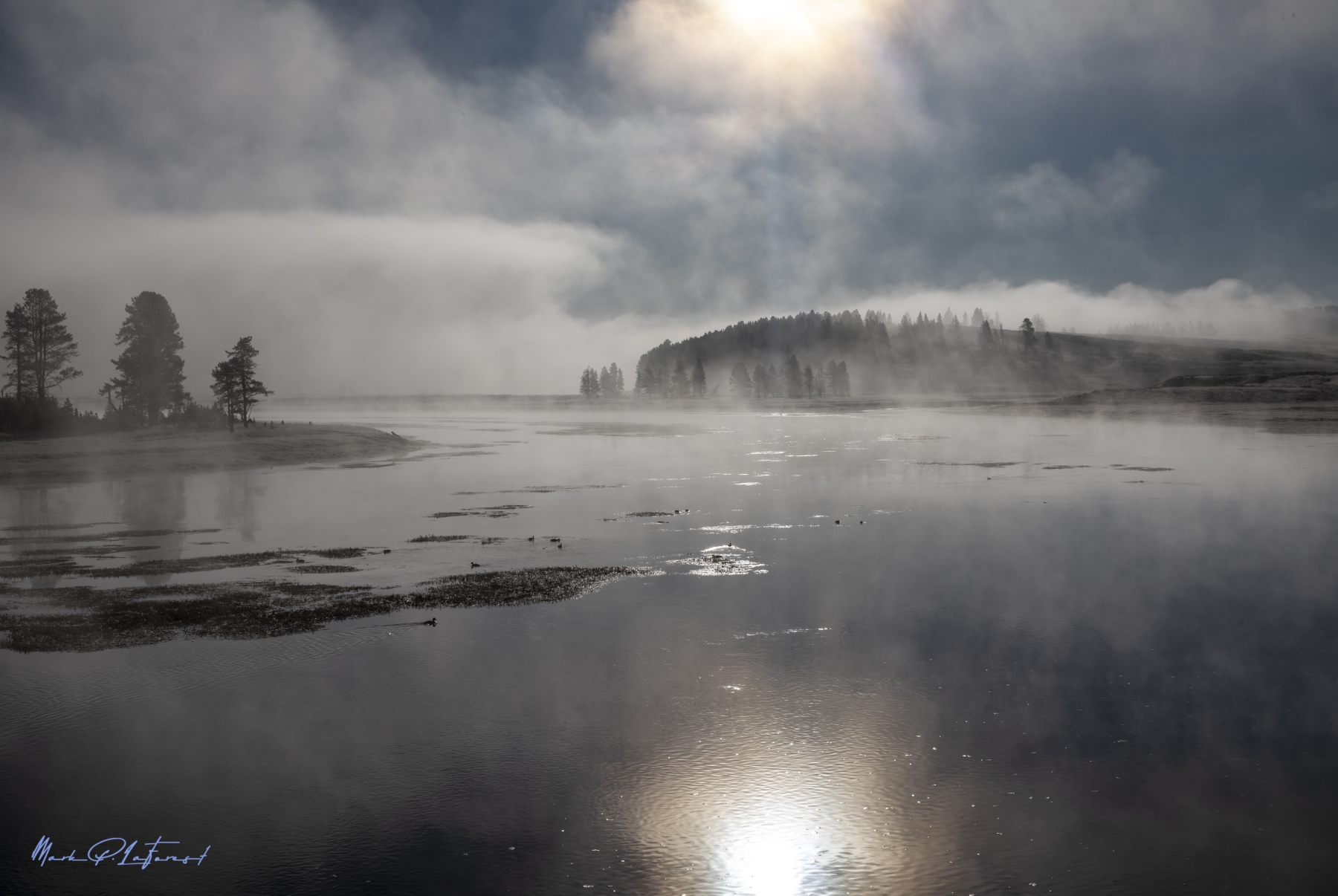 /gallery/north_america/USA/Wyoming/yellowstone/Foggy Morning Yellowstone River 2024-001_med.jpg